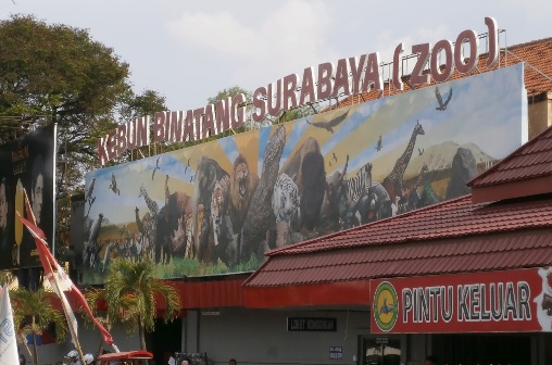 Kebun Binatang Surabaya (foto: ilustrasi)